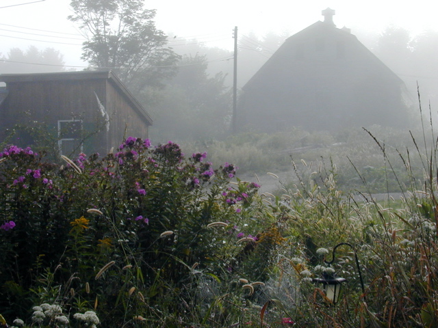 misty morning