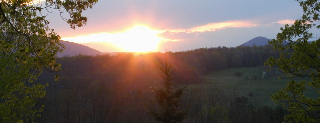 West view